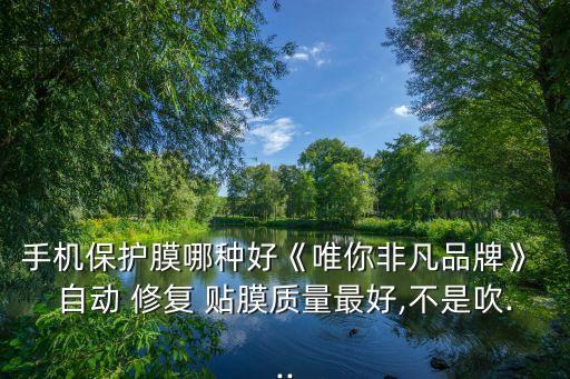 手機保護(hù)膜哪種好《唯你非凡品牌》 自動 修復(fù) 貼膜質(zhì)量最好,不是吹...