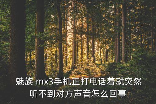 魅族mx3通話(huà)自動(dòng)掛斷,魅族mx3無(wú)法撥電話(huà)如何進(jìn)行維修?