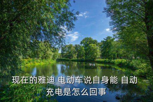現(xiàn)在的雅迪 電動(dòng)車說自身能 自動(dòng) 充電是怎么回事