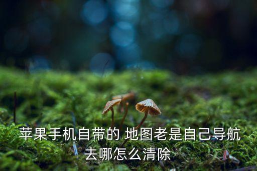  蘋果手機(jī)自帶的 地圖老是自己導(dǎo)航去哪怎么清除