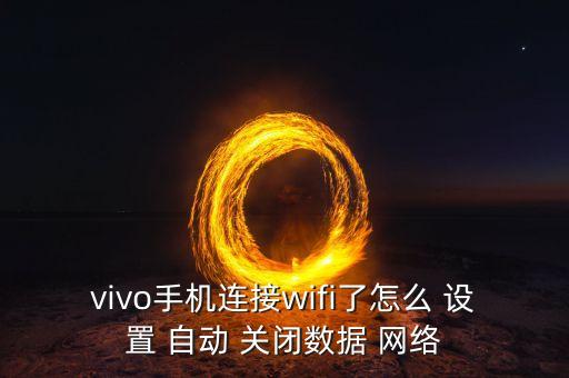 vivo手機(jī)連接wifi了怎么 設(shè)置 自動(dòng) 關(guān)閉數(shù)據(jù) 網(wǎng)絡(luò)