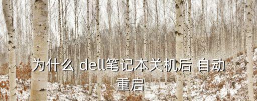 為什么 dell筆記本關(guān)機(jī)后 自動(dòng) 重啟
