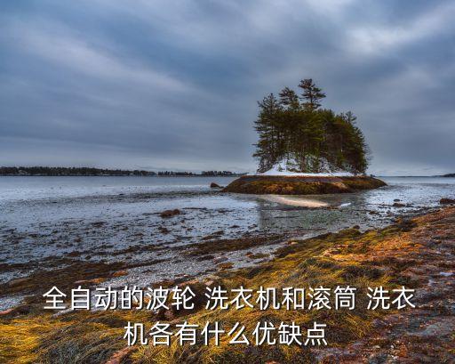  全自動的波輪 洗衣機(jī)和滾筒 洗衣機(jī)各有什么優(yōu)缺點