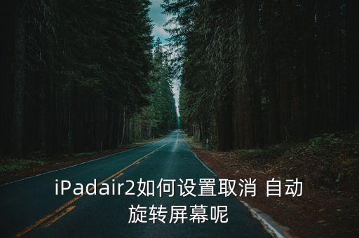 iPadair2如何設(shè)置取消 自動旋轉(zhuǎn)屏幕呢