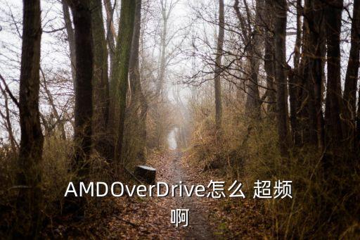 AMDOverDrive怎么 超頻啊