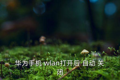 華為手機(jī) wlan打開(kāi)后 自動(dòng) 關(guān)閉