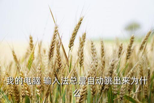 我的電腦 輸入法總是自動跳出來為什么