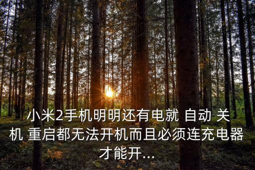  小米2手機明明還有電就 自動 關(guān)機 重啟都無法開機而且必須連充電器才能開...