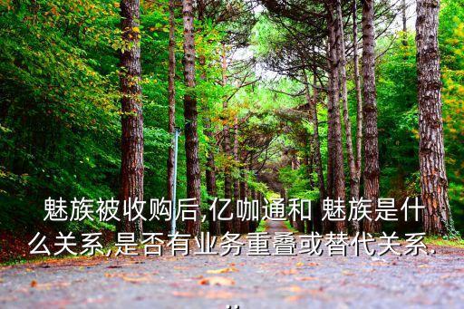 全自動(dòng)魅族汽車,易卡通:汽車廠商進(jìn)入手機(jī)市場(chǎng)很正常