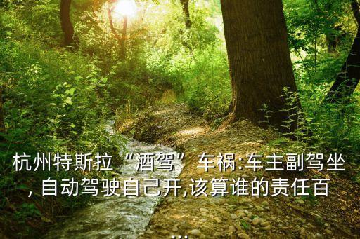 自動副駕,安全氣囊在a柱裝飾板的作用