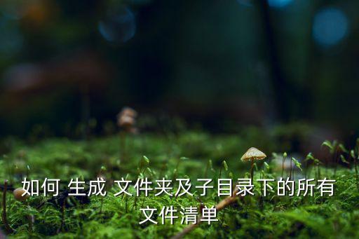 如何 生成 文件夾及子目錄下的所有文件清單