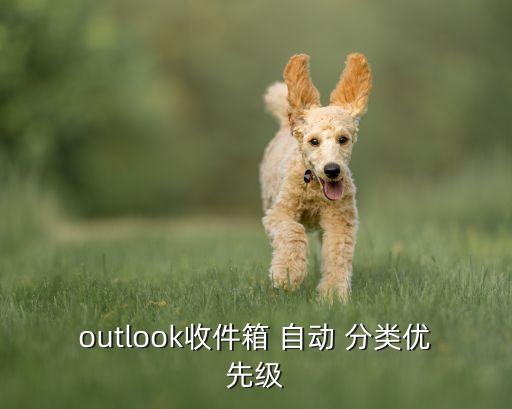 郵箱自動分類,如何創(chuàng)建高優(yōu)先級郵件標簽?
