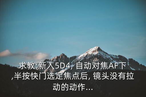 求教:新入5D4, 自動對焦AF下,半按快門選定焦點(diǎn)后, 鏡頭沒有拉動的動作...