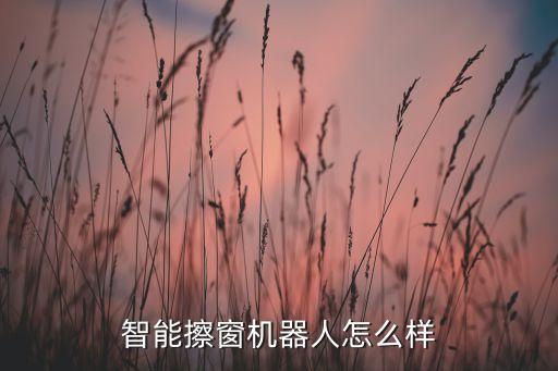 自動擦窗戶,我請阿姨來這里擦窗自動擦窗機器人300元起步