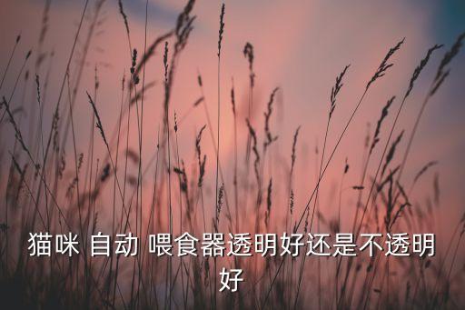 貓咪 自動 喂食器透明好還是不透明好