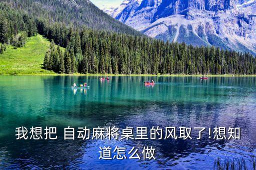 我想把 自動(dòng)麻將桌里的風(fēng)取了!想知道怎么做