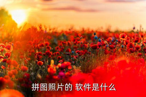 自動拼圖軟件 mac,如何在美圖秀秀拼圖?一文看懂