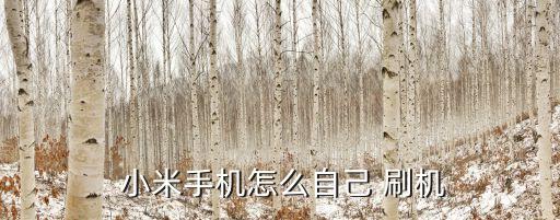  小米手機(jī)怎么自己 刷機(jī)