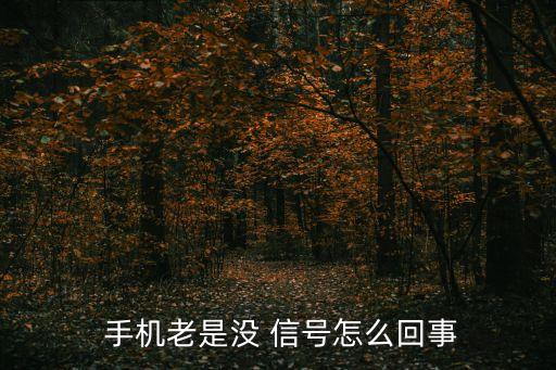  手機老是沒 信號怎么回事