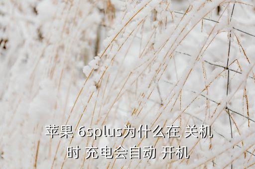  蘋果 6splus為什么在 關(guān)機(jī)時(shí) 充電會(huì)自動(dòng) 開(kāi)機(jī)