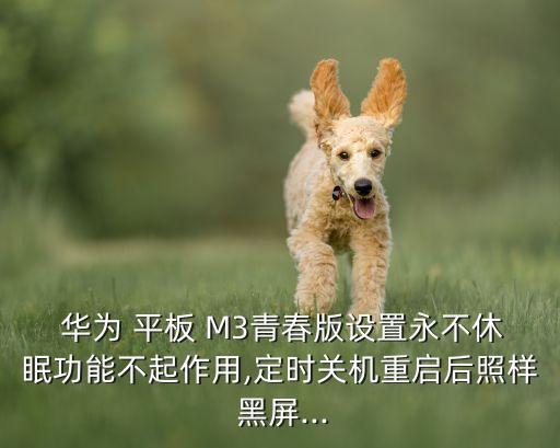  華為 平板 M3青春版設置永不休眠功能不起作用,定時關機重啟后照樣 黑屏...