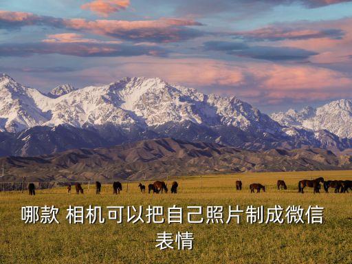 哪款 相機可以把自己照片制成微信 表情
