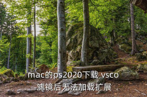 mac的ps2020下載 vsco 濾鏡后無法加載擴(kuò)展