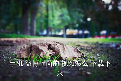 手機 微博上面的 視頻怎么 下載下來