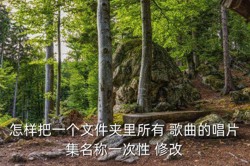 自動(dòng)修改歌曲名,怎么修改和保存歌曲?
