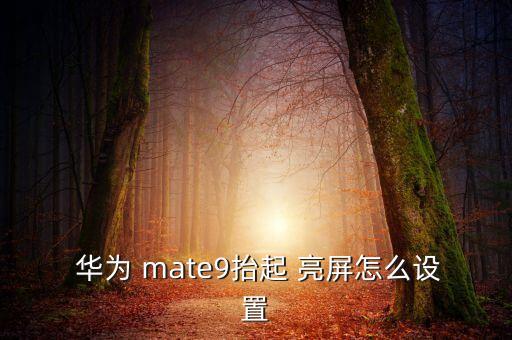 華為mate9有時(shí)自動(dòng)亮屏,第四勢:微信開機(jī)自動(dòng)開始>>