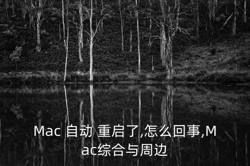 Mac 自動(dòng) 重啟了,怎么回事,Mac綜合與周邊
