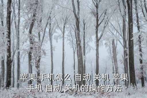  蘋(píng)果 手機(jī)怎么 自動(dòng) 關(guān)機(jī) 蘋(píng)果 手機(jī) 自動(dòng) 關(guān)機(jī)的操作方法