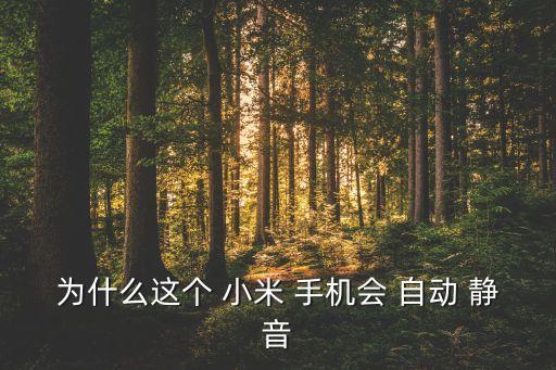 小米手機(jī)自動(dòng)變成靜音,手機(jī)問(wèn)題關(guān)閉手機(jī)電池續(xù)航
