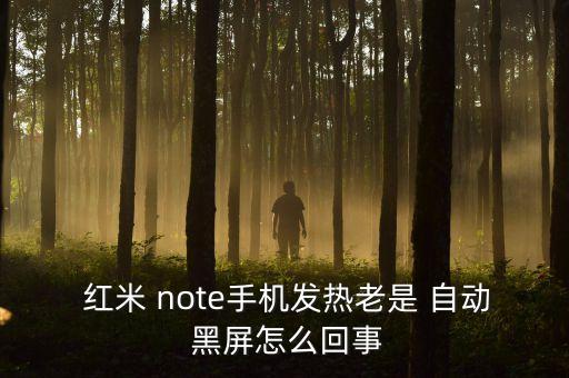  紅米 note手機(jī)發(fā)熱老是 自動(dòng) 黑屏怎么回事