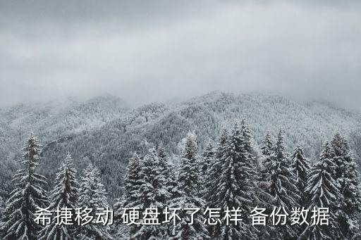  希捷移動 硬盤壞了怎樣 備份數(shù)據(jù)