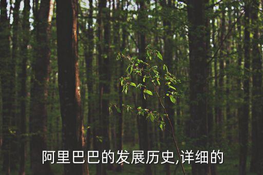  阿里巴巴的發(fā)展歷史,詳細(xì)的