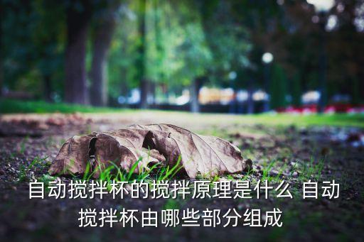  自動攪拌杯的攪拌原理是什么 自動攪拌杯由哪些部分組成