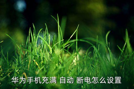 華為手機充滿 自動 斷電怎么設置
