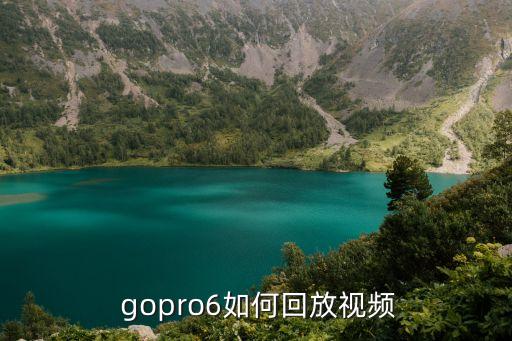 gopro6如何回放視頻
