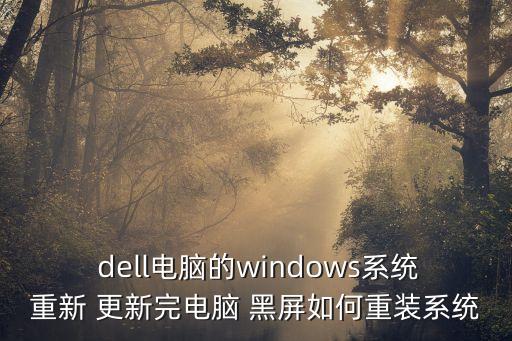  dell電腦的windows系統(tǒng)重新 更新完電腦 黑屏如何重裝系統(tǒng)