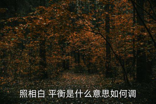 照相白 平衡是什么意思如何調(diào)
