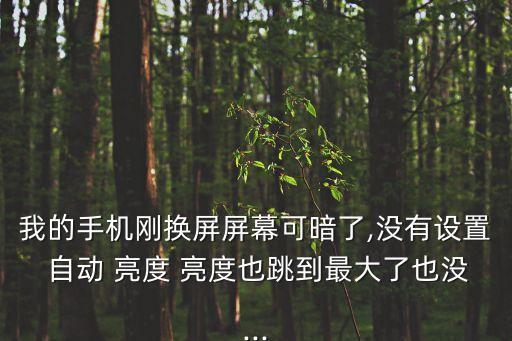 我的手機(jī)剛換屏屏幕可暗了,沒(méi)有設(shè)置 自動(dòng) 亮度 亮度也跳到最大了也沒(méi)...
