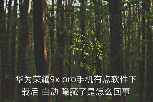 華為榮耀9x pro手機(jī)有點(diǎn)軟件下載后 自動(dòng) 隱藏了是怎么回事