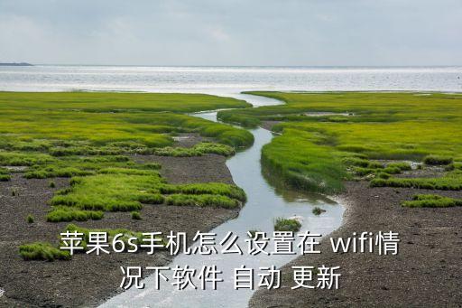 蘋果6s手機怎么設置在 wifi情況下軟件 自動 更新