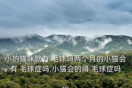 小的貓咪就有 毛球嗎兩個(gè)月的小貓會(huì)有 毛球癥嗎,小貓會(huì)的得 毛球癥嗎...
