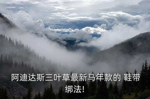 阿迪達(dá)斯 自動(dòng)綁鞋帶,紐扣鞋帶魔法扣解決鞋帶難題