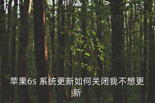 蘋果6s 系統(tǒng)更新如何關(guān)閉我不想更新