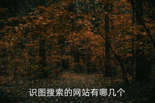 淘淘搜比價自動安裝,數(shù)據(jù)擴展:地圖搜索成為新搜索趨勢