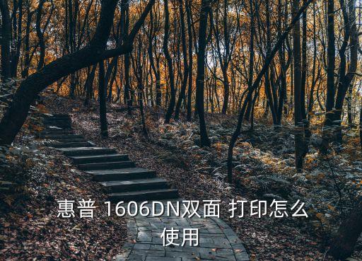  惠普 1606DN雙面 打印怎么使用