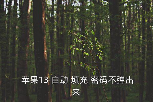  蘋果13 自動(dòng) 填充 密碼不彈出來